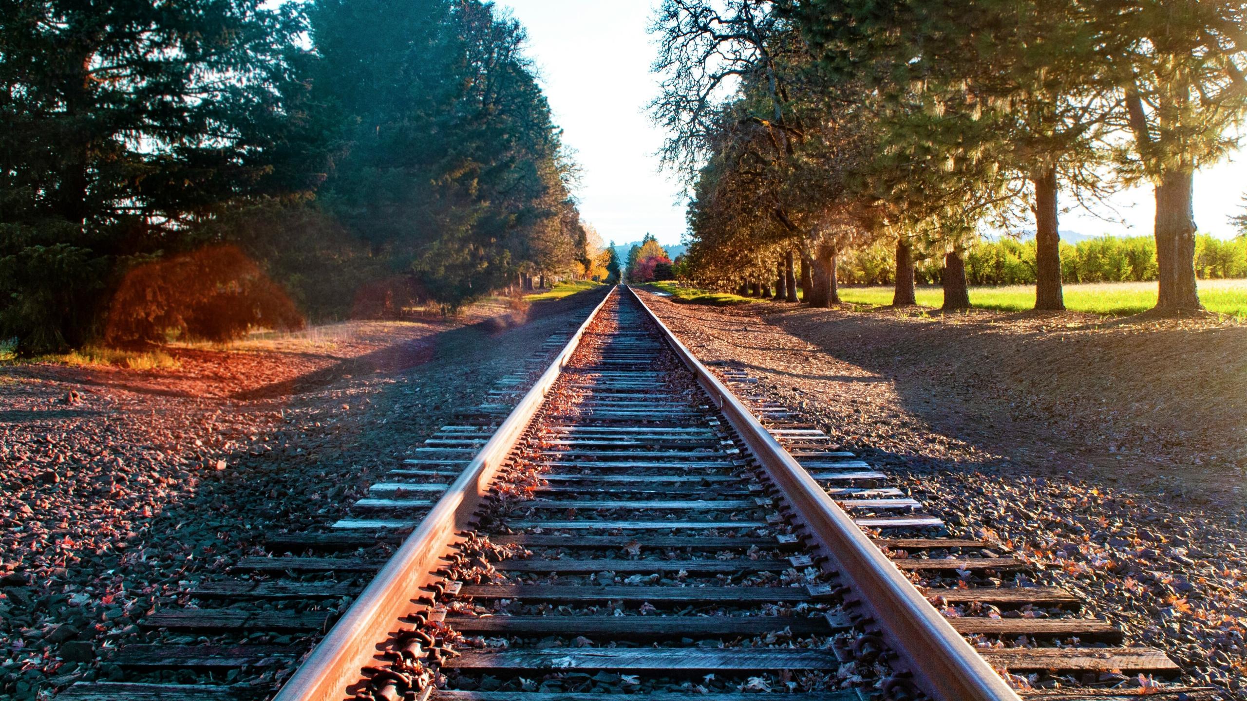 david-herron-S5jD0E8DOC0-unsplash