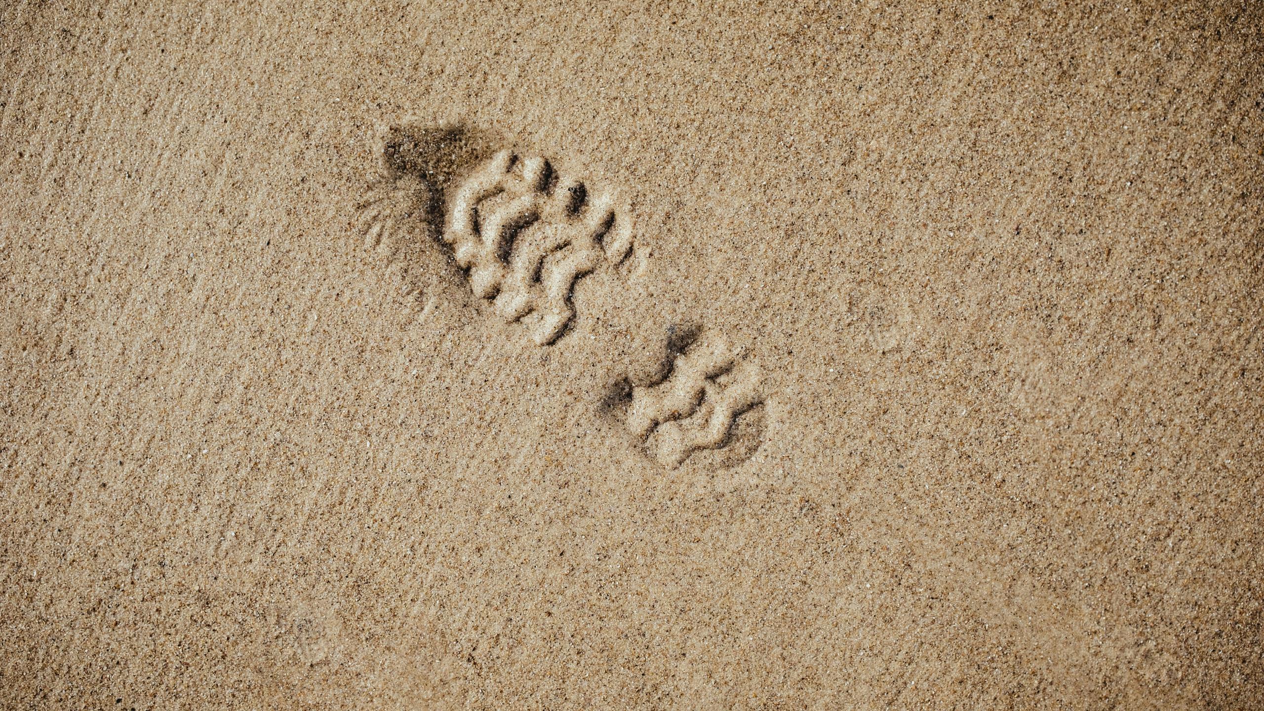 bernard-hermant-z9AOxTYQBy4-unsplash